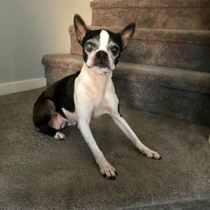 Meet your Posher, Becky